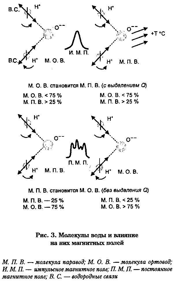 Новое - небывалое. Научность идей Порфирия Иванова - _6.jpg