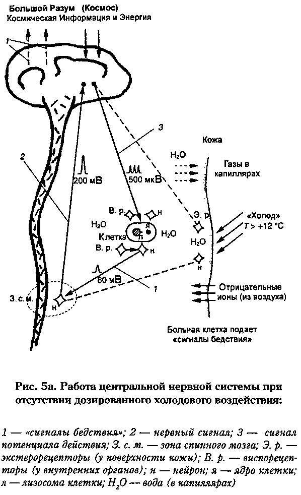 Новое - небывалое. Научность идей Порфирия Иванова - _9.jpg