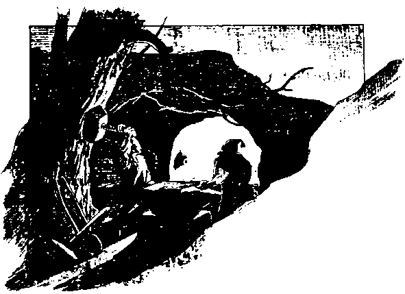 Мифы и легенды народов мира. Том 6. Северная и Западная Европа - i_041.png