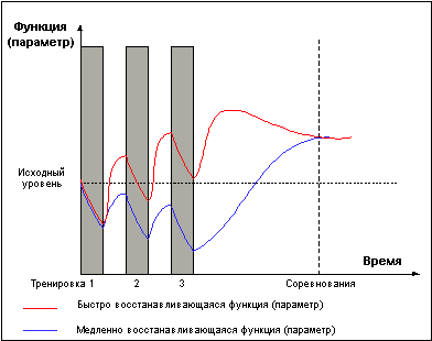 Думай! Или 'Супертренинг' без заблуждений - any2fbimgloader10.png