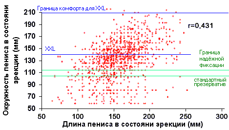 Фаллос как зеркало иерархии - r1.png