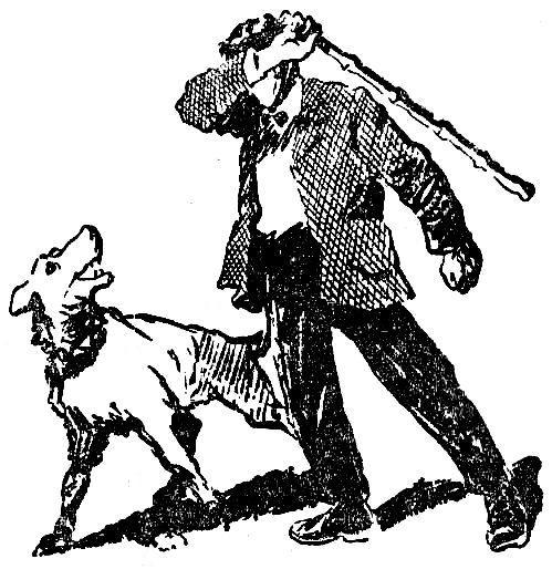 Зубы дракона - pic_9.jpg