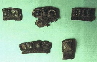 Сын Человеческий - i_093.jpg