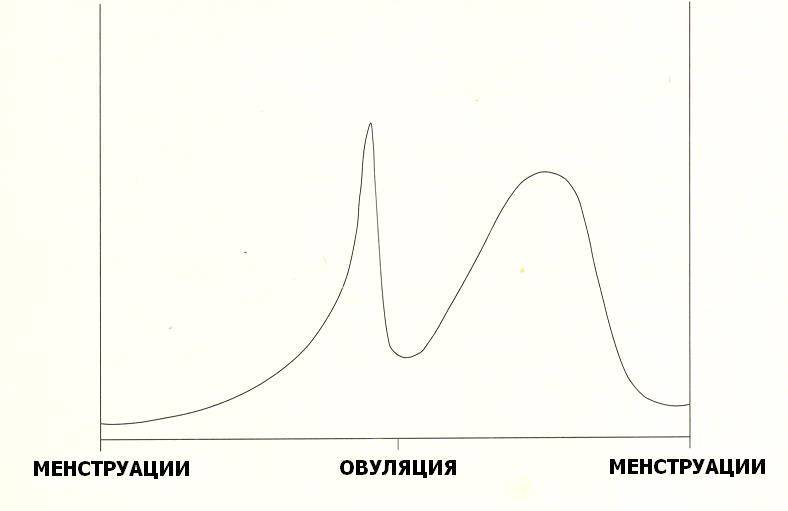 Преодолеваем пищевые соблазны (ЛП) - _1.jpg