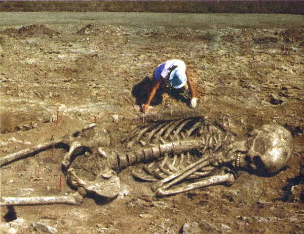 Загадки и тайны морей и океанов - i_005.jpg