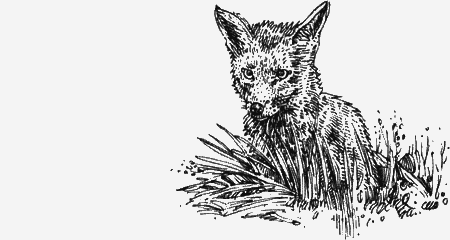 Долгая дорога домой (сборник) с илл. - img08.png