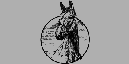 Долгая дорога домой (сборник) с илл. - img66.png