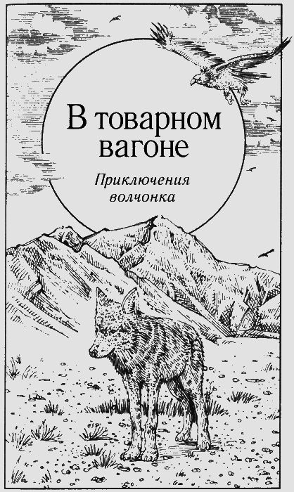 Долгая дорога домой (сборник) с илл. - img67.png