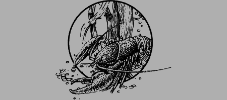 Долгая дорога домой (сборник) с илл. - img84.png