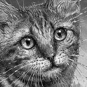 Чудесный нож - i_001.jpg