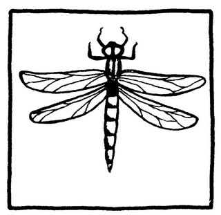 Янтарный телескоп - i_011.jpg