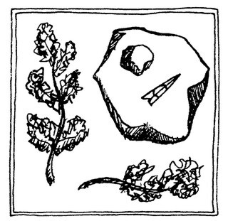 Янтарный телескоп - i_015.jpg