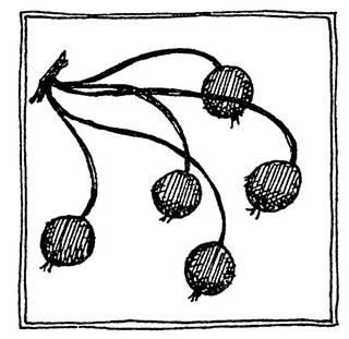 Янтарный телескоп - i_035.jpg