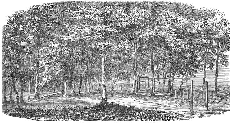 Книжка для раков. Книжка для муравьев (сборник) - i_003.png