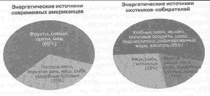 Эволюционная психология. Секреты поведения Homo sapiens - img594E.jpg