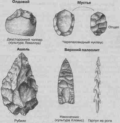 Эволюционная психология. Секреты поведения Homo sapiens - imgF19E.jpg