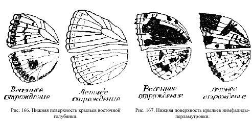 Приключения с насекомыми - pic_90.jpg