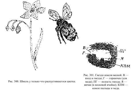 Приключения с насекомыми - pic_150.jpg