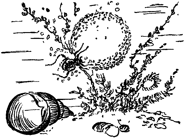 Полосатая спинка. Рассказы - pic07.png