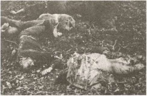 «Штрафники» СС. Зондеркоманда «Дирлевангер» - i_012.jpg