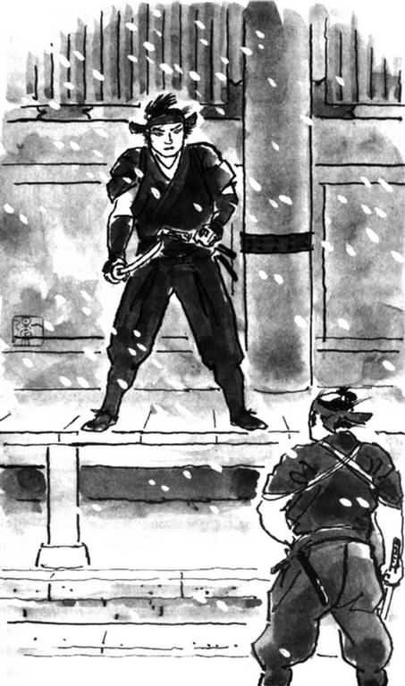 Тигриное око (Современная японская историческая новелла) - _8_01.jpg