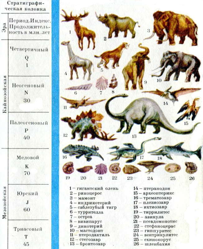 Как развивалась жизнь на Земле - i_048.jpg