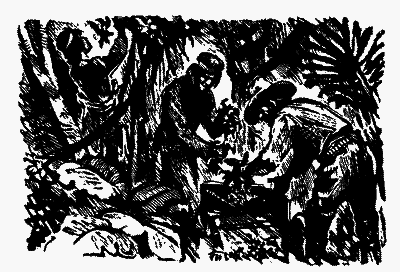 Охотники за орхидеями (худ. В. Юнк) - pic_8.png