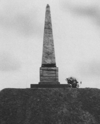 Екатерина Дашкова: Жизнь во власти и в опале - i_059.jpg