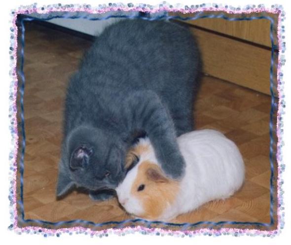 Зачем живут патиссоны? - _22.jpg