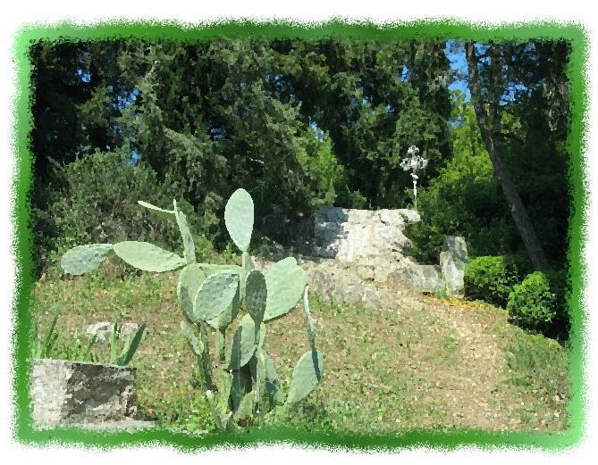 Зачем живут патиссоны? - _51.jpg