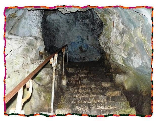 Зачем живут патиссоны? - _53.jpg