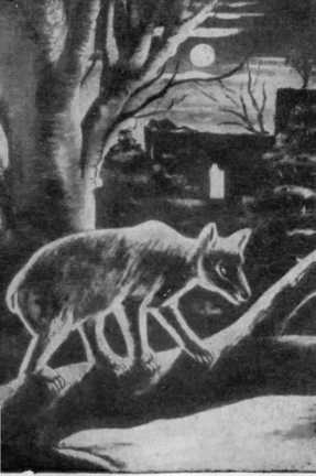 Грузии сыны - i_042.jpg