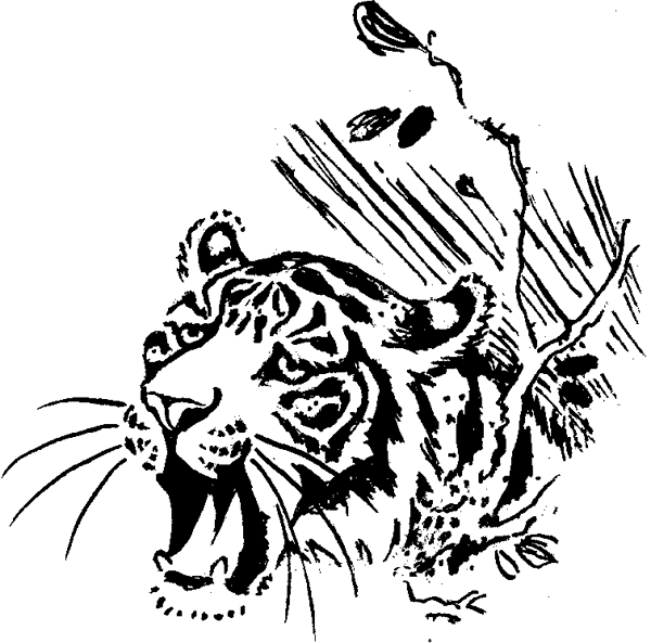 Что бывало (сборник) - i_021.png