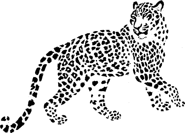 Что бывало (сборник) - i_026.png