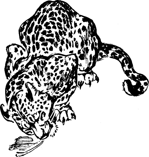 Что бывало (сборник) - i_028.png