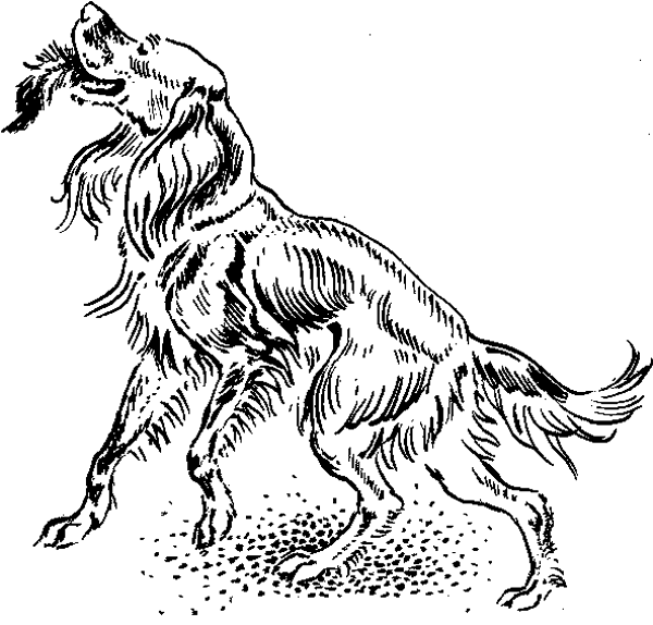 Что бывало (сборник) - i_040.png