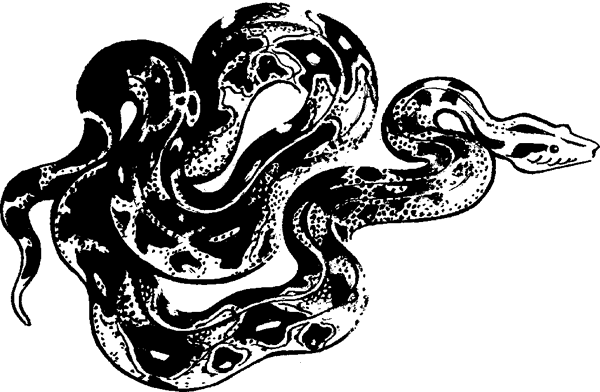 Что бывало (сборник) - i_046.png