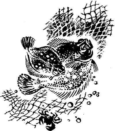 Что бывало (сборник) - i_063.png