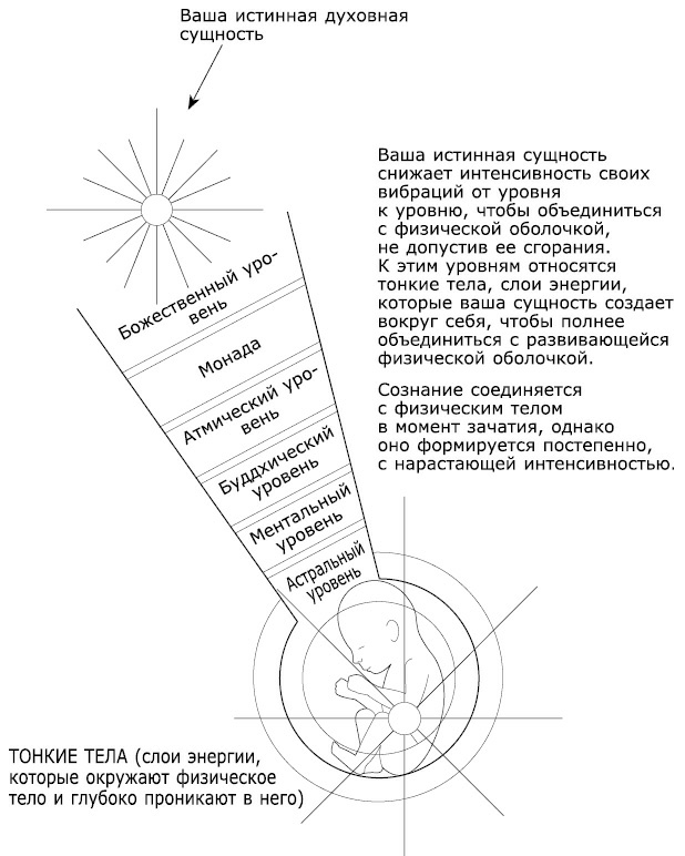 Как видеть и читать ауру - i_006.png