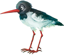 Сказки русских писателей (с илл.) - maminsibiryak_headband_2.png