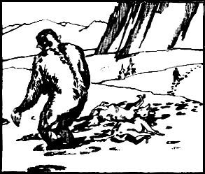 Эридиана - pic_7.jpg