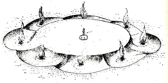 Обитель богов. Колыбель Ригведы и Авесты - i_019.jpg