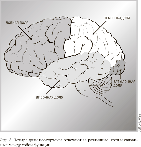 Будущее разума - i_002.png