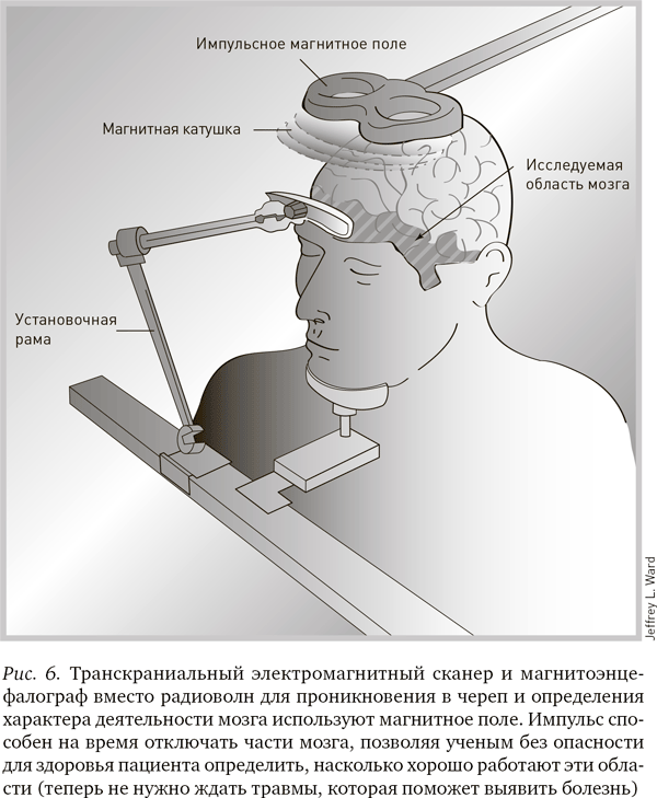 Будущее разума - i_006.png