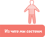 Как устроен человек - i_005.png