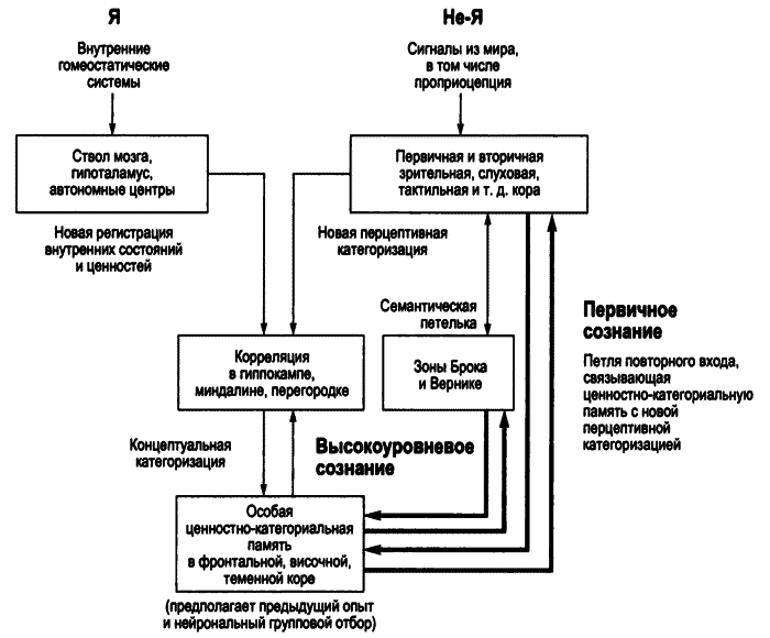 Сознающий ум. В поисках фундаментальной теории - i_007.png