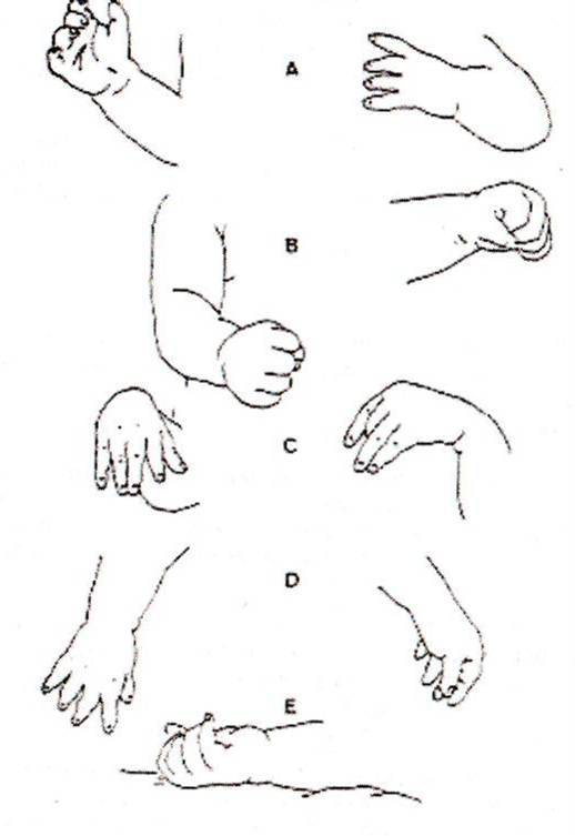 Разум вашего новорожденного ребенка - i_001.jpg