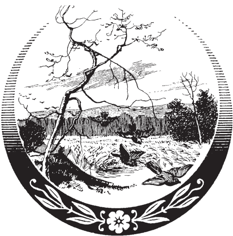 Я обманывать себя не стану… - i_001.png