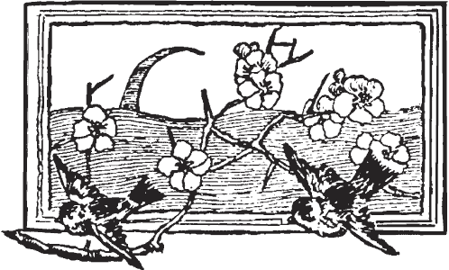 Я обманывать себя не стану… - i_003.png