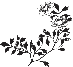 Я обманывать себя не стану… - i_029.png